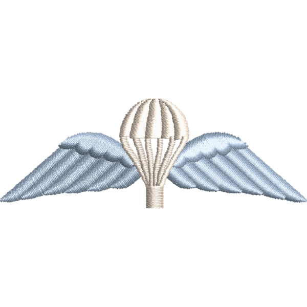 Wings Embroidered Badge For Clothing
