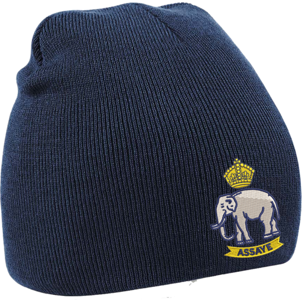 10 Battery French Navy Beanie