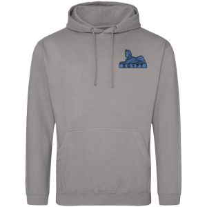 11 Battery Platnum Grey Hoodie