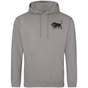 11 Bde Platnum Grey Hoodie