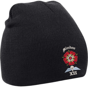 12 Battery Black Beanie