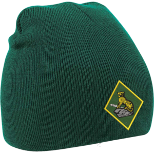 132 Battery Bottle Green Beanie