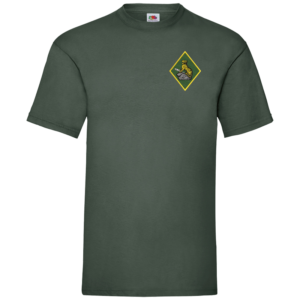 132 Battery Bottle Green Value T-Shirt