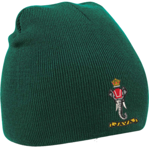 137 Battery Bottle Green Beanie