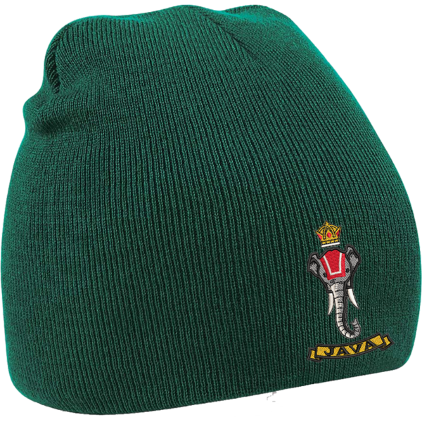 137 Battery Bottle Green Beanie