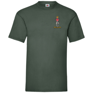 137 Battery Bottle Green Value T-Shirt