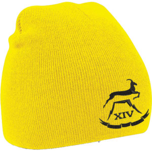 14 Battery Black Yellow Beanie