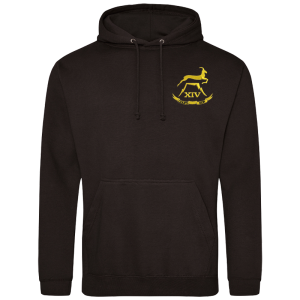 14 Battery Black Hoodie