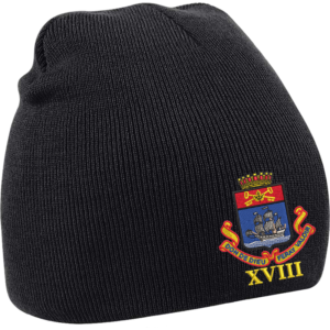 18 Battery Black Beanie
