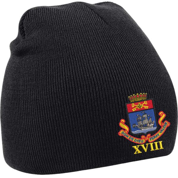 18 Battery Black Beanie