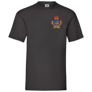 18 Battery Black Value T-Shirt