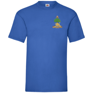 207 Battery Royal Blue Value T-Shirt