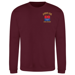 21 Battery Delta Burgundy Sweatshirt
