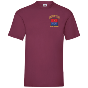 21 Battery Delta Burgundy Value T-Shirt