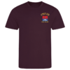 21 Battery Wings Burgundy Performance T-Shirt
