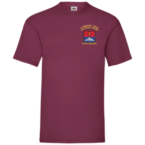 21 Battery Wings Burgundy Value T-Shirt