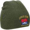 21 Battery Wings Olive Green Beanie