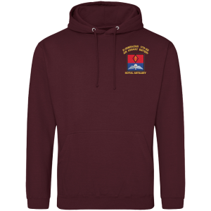 21 Battery Wings Burgandy Hoodie