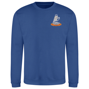 269 Battery Royal Blue Sweatshirt