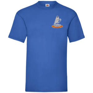 269 Battery Royal Blue Value T-Shirt