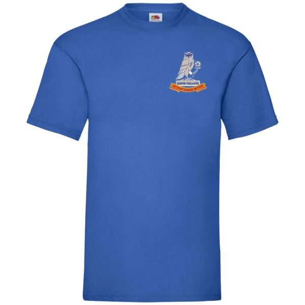 269 Battery Royal Blue Value T-Shirt