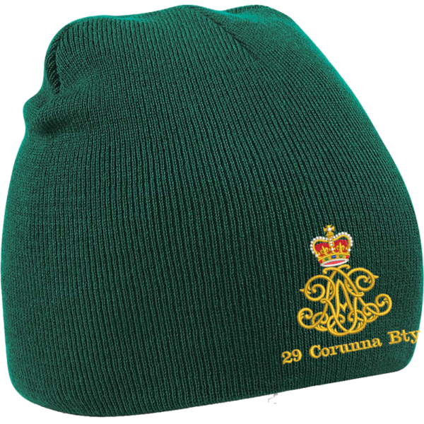 29 Battery Bottle Green Beanie