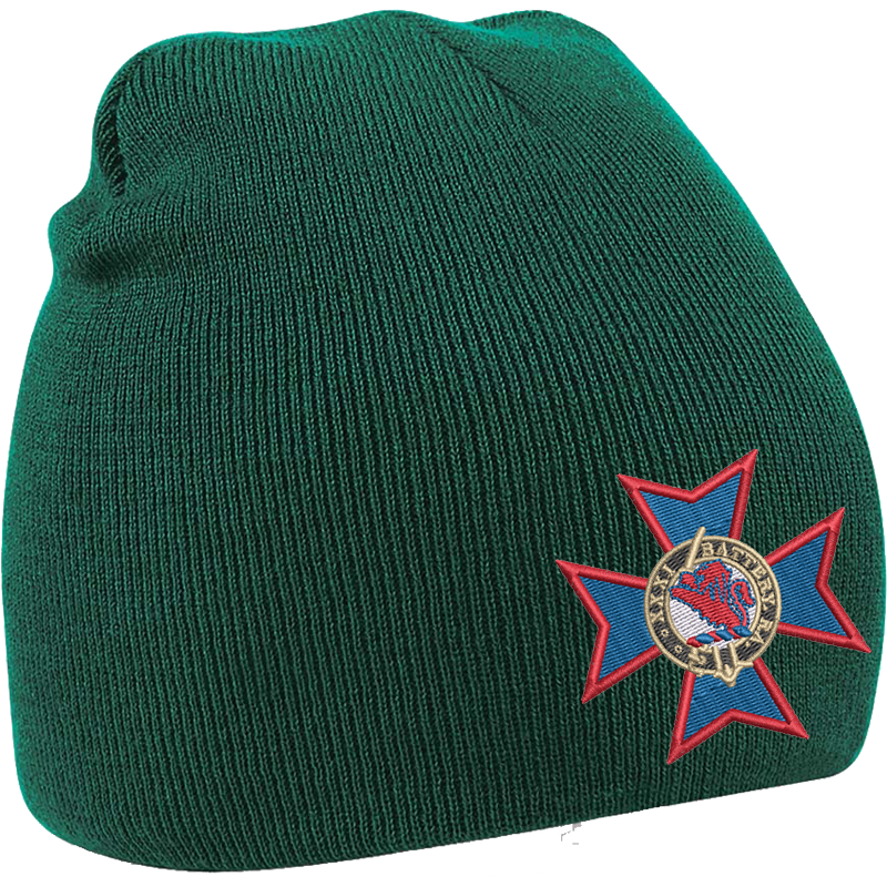 31 Battery Bottle Green Beanie