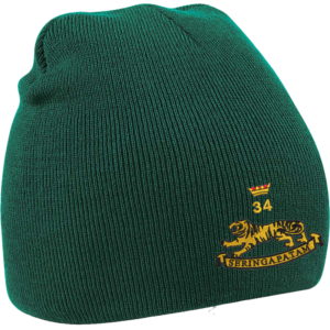 34 Battery Bottle Green Beanie