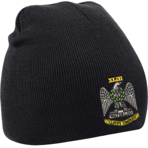 43 Battery Black Beanie