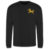 7 Bde AD Black Sweatshirt