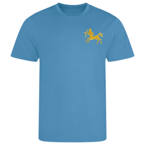 7 Bde AD Sapphire Performance T-Shirt
