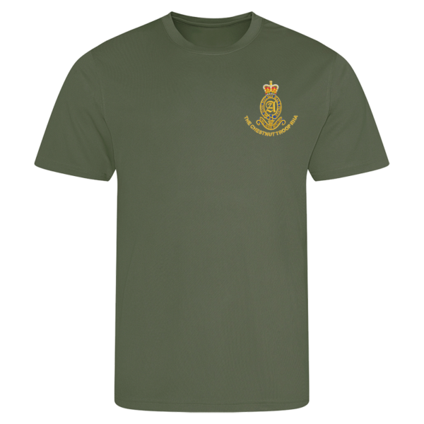 A Battery CT ER Earthy Green Performance T-Shirt