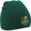 ACE AFC Bottle Green Beanie