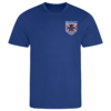 Louth Veterans Royal Blue Performance T-Shirt