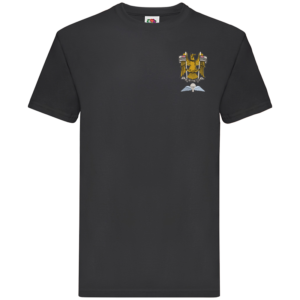 N Battery AA Black Premium Cotton T-Shirt