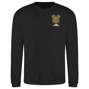 N Battery AA Black Sweatshirt