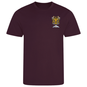 N Battery AA Burgundy Performance T-Shirt