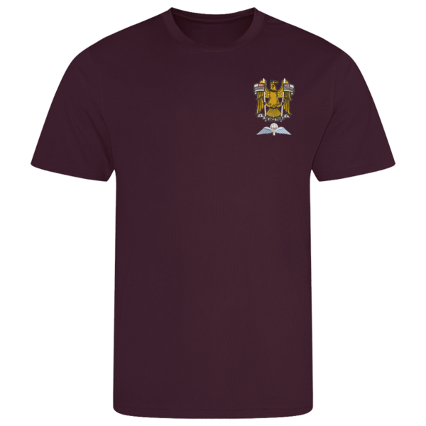 N Battery AA Burgundy Performance T-Shirt