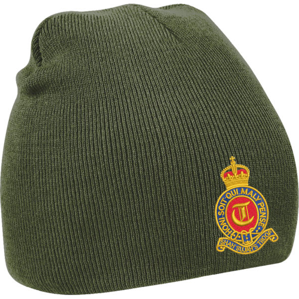 T Battery CR Olive Green Beanie