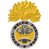 R Welch Fus Embroidered Badge For Clothing
