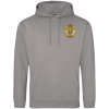 Rlc Er Battery Platnum Grey Hoodie