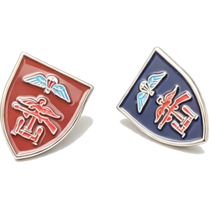 148 Battery Lapel Pin